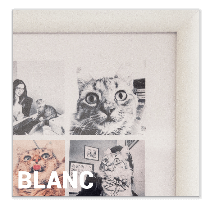 Blanc